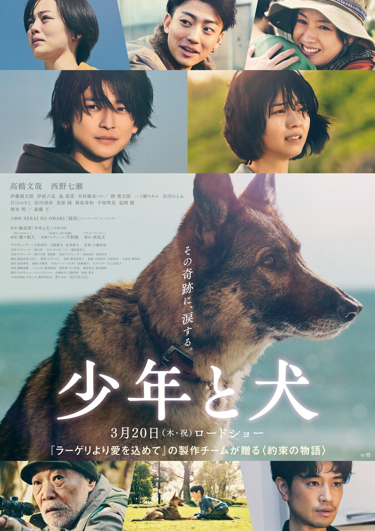 دانلود فیلم The Boy and the Dog 2025 بدون سانسور