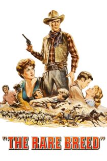 دانلود فیلم The Rare Breed 1966 بدون سانسور با پخش آنلاین دانلود فیلم The Rare Breed 1966 بدون سانسور با پخش آنلاین