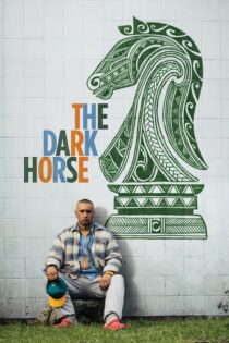 دانلود فیلم The Dark Horse 2014 بدون سانسور با پخش آنلاین