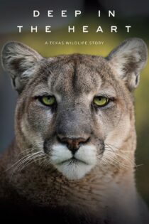دانلود فیلم Deep in the Heart: A Texas Wildlife Story 2022 بدون سانسور با پخش آنلاین دانلود فیلم Deep in the Heart: A Texas Wildlife Story 2022 بدون سانسور با پخش آنلاین