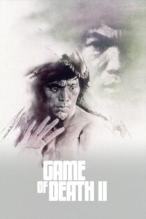 دانلود فیلم Game of Death II 1980 بدون سانسور با پخش آنلاین