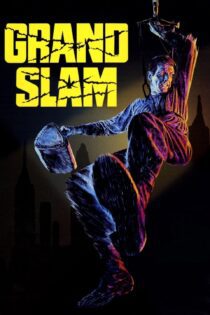 دانلود فیلم Grand Slam 1967 بدون سانسور با پخش آنلاین