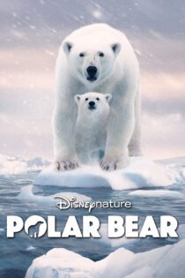 دانلود فیلم Polar Bear 2022 بدون سانسور با پخش آنلاین دانلود فیلم Polar Bear 2022 بدون سانسور با پخش آنلاین