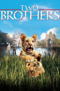 دانلود فیلم Two Brothers 2004 بدون سانسور با پخش آنلاین