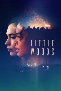 دانلود فیلم Little Woods 2018 بدون سانسور با پخش آنلاین