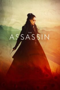 دانلود فیلم The Assassin 2015 بدون سانسور با پخش آنلاین