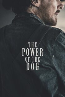 دانلود فیلم The Power of the Dog 2021 بدون سانسور با پخش آنلاین