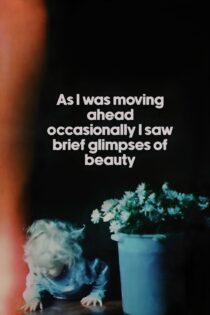 دانلود فیلم As I Was Moving Ahead Occasionally I Saw Brief Glimpses of Beauty 2000 بدون سانسور با پخش آنلاین دانلود فیلم As I Was Moving Ahead Occasionally I Saw Brief Glimpses of Beauty 2000 بدون سانسور با پخش آنلاین