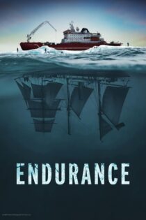 دانلود فیلم Endurance 2024 بدون سانسور با پخش آنلاین
