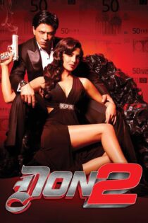دانلود فیلم Don 2 2011 بدون سانسور با پخش آنلاین