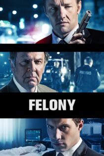 دانلود فیلم Felony 2013 بدون سانسور با پخش آنلاین