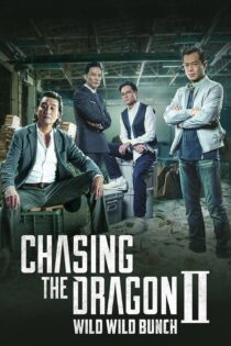دانلود فیلم Chasing the Dragon II: Wild Wild Bunch 2019 بدون سانسور با پخش آنلاین دانلود فیلم Chasing the Dragon II: Wild Wild Bunch 2019 بدون سانسور با پخش آنلاین