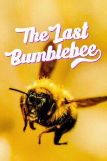 دانلود فیلم The Last Bumblebee 2024 بدون سانسور با پخش آنلاین
