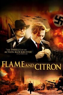 دانلود فیلم Flame & Citron 2008 بدون سانسور با پخش آنلاین