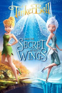 دانلود فیلم Secret of the Wings 2012 بدون سانسور با پخش آنلاین