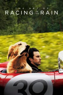 دانلود فیلم The Art of Racing in the Rain 2019 بدون سانسور با پخش آنلاین دانلود فیلم The Art of Racing in the Rain 2019 بدون سانسور با پخش آنلاین