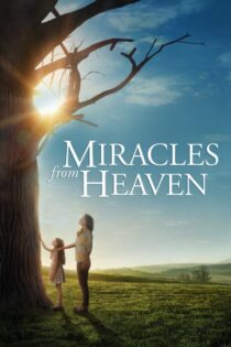 دانلود فیلم Miracles from Heaven 2016 بدون سانسور با پخش آنلاین دانلود فیلم Miracles from Heaven 2016 بدون سانسور با پخش آنلاین