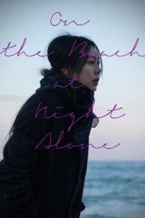 دانلود فیلم On the Beach at Night Alone 2017 بدون سانسور با پخش آنلاین