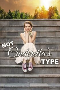 دانلود فیلم Not Cinderella’s Type 2018 بدون سانسور با پخش آنلاین