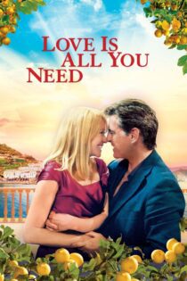 دانلود فیلم Love Is All You Need 2012 بدون سانسور با پخش آنلاین