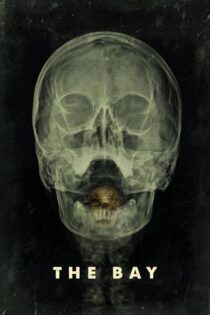 دانلود فیلم The Bay 2012 بدون سانسور با پخش آنلاین
