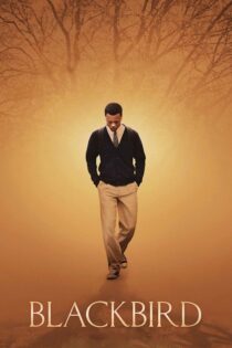 دانلود فیلم Blackbird 2014 بدون سانسور با پخش آنلاین