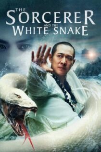 دانلود فیلم The Sorcerer and the White Snake 2011 بدون سانسور با پخش آنلاین