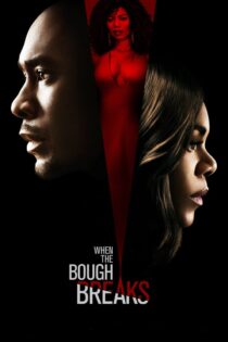 دانلود فیلم When the Bough Breaks 2016 بدون سانسور با پخش آنلاین