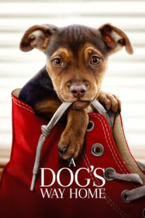 دانلود فیلم A Dog’s Way Home 2019 بدون سانسور با پخش آنلاین