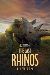 دانلود فیلم The Last Rhinos: A New Hope 2025 بدون سانسور با پخش آنلاین