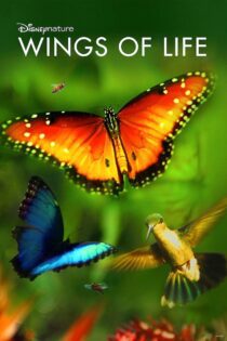 دانلود فیلم Disneynature: Wings of Life 2011 بدون سانسور با پخش آنلاین