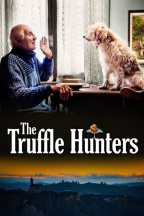دانلود فیلم The Truffle Hunters 2020 بدون سانسور با پخش آنلاین دانلود فیلم The Truffle Hunters 2020 بدون سانسور با پخش آنلاین