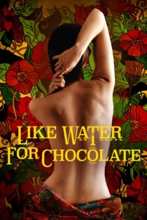 دانلود فیلم Like Water for Chocolate 1992 بدون سانسور با پخش آنلاین