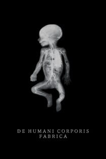 دانلود فیلم The Fabric of the Human Body 2022 بدون سانسور با پخش آنلاین