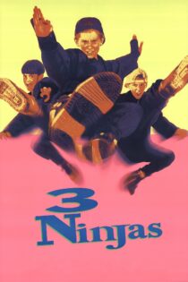 دانلود فیلم 3 Ninjas 1992 بدون سانسور با پخش آنلاین دانلود فیلم 3 Ninjas 1992 بدون سانسور با پخش آنلاین