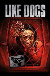 دانلود فیلم Like Dogs 2021 بدون سانسور با پخش آنلاین دانلود فیلم Like Dogs 2021 بدون سانسور با پخش آنلاین