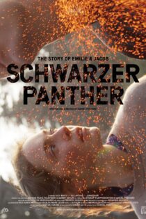 دانلود فیلم Black Panther 2014 بدون سانسور با پخش آنلاین دانلود فیلم Black Panther 2014 بدون سانسور با پخش آنلاین