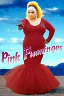 دانلود فیلم Pink Flamingos 1972 بدون سانسور با پخش آنلاین دانلود فیلم Pink Flamingos 1972 بدون سانسور با پخش آنلاین