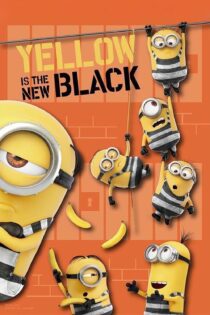 دانلود فیلم Yellow is the New Black 2018 بدون سانسور با پخش آنلاین دانلود فیلم Yellow is the New Black 2018 بدون سانسور با پخش آنلاین