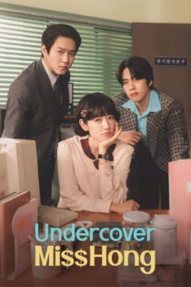 دانلود سریال Undercover Miss Hong بدون سانسور