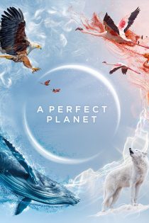 دانلود سریال A Perfect Planet بدون سانسور