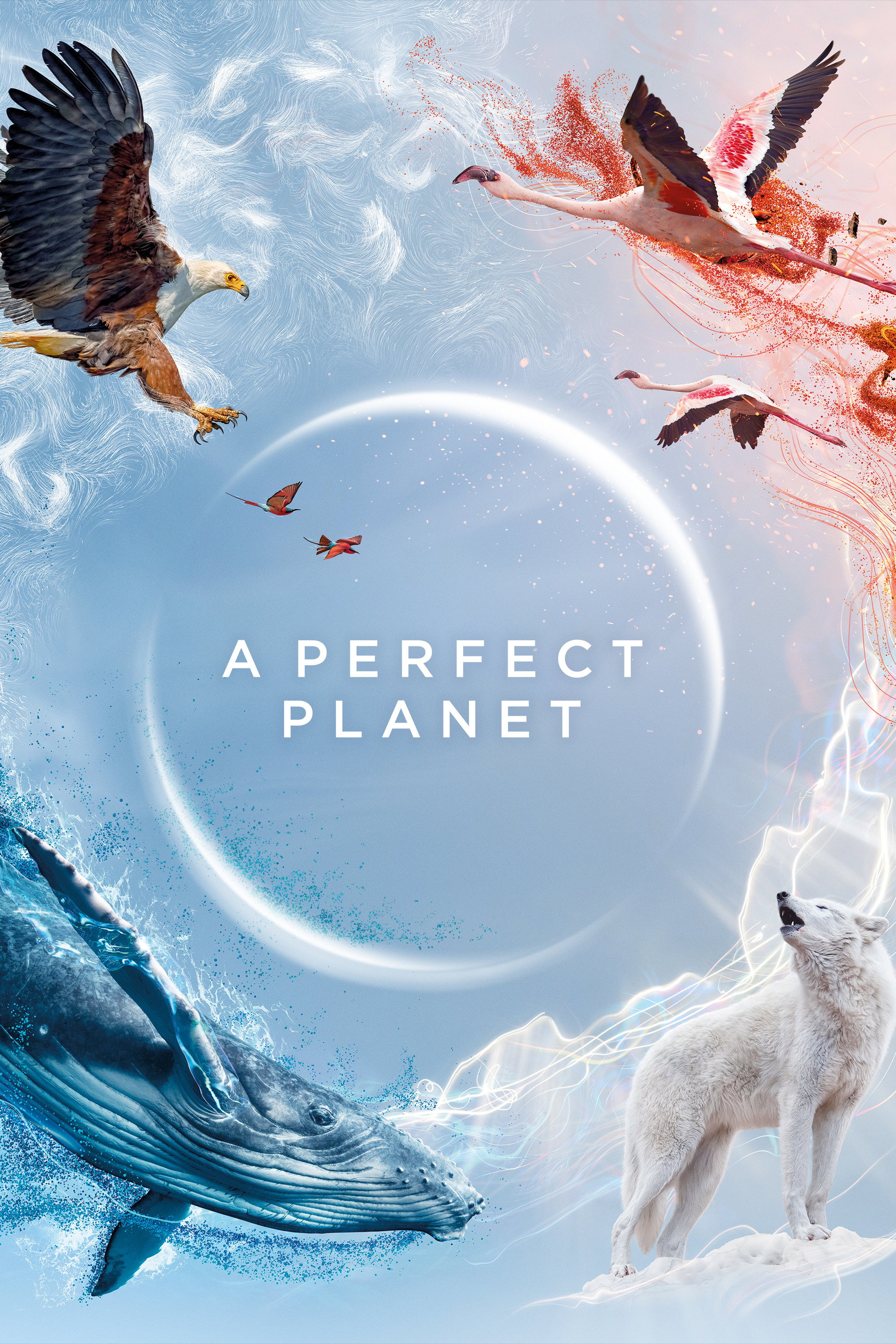 دانلود سریال A Perfect Planet بدون سانسور