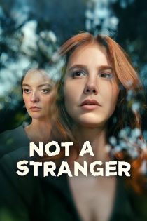 دانلود سریال Not a Stranger بدون سانسور